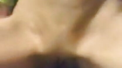 बड़े स्तन कौगर लीज़ा ऐन चमकाने 2 सेक्सी फिल्म सेक्सी इंग्लिश विशाल सांप